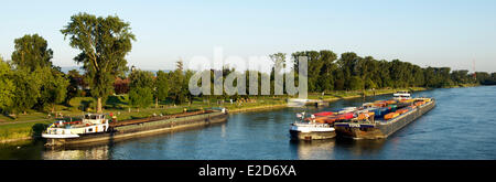 Francia Bas Rhin Strasburgo barcone sul fiume Reno nei pressi del Jardin des Deux Rives (due banche giardino) sul lato tedesco a Kehl Foto Stock