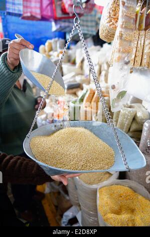 Il Perù Cuzco Provincia Cuzco elencati come patrimonio mondiale dall' UNESCO bianco o royal quinoa (Chenopodium quinoa) Foto Stock