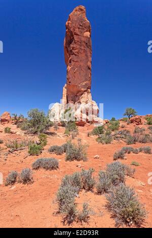 Stati Uniti Utah Colorado Plateau Parco Nazionale Arches Giardino del Diavolo sezione Dark Angel monolito Foto Stock