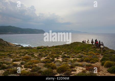 Francia, Haute Corse, Il Nebbio, Deserto degli Agriates, Peraiola Cove, piloti sul nord-est di Ostriconi spiaggia sulla punta di l' Acciolu (Acciola) Foto Stock