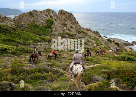Francia, Haute Corse, Il Nebbio, Deserto degli Agriates, Peraiola Cove, piloti sul nord-est di Ostriconi spiaggia sulla punta di l' Acciolu (Acciola) Foto Stock