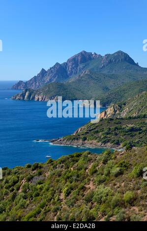 Francia, Corse du Sud, Golfe de Porto, classificato come patrimonio mondiale dall UNESCO, il Capo Senino Foto Stock