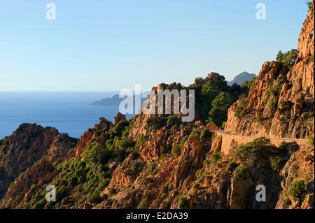 Francia, Corse du Sud, Golfe de Porto, classificato come patrimonio mondiale dall UNESCO, le insenature di Piana (Calanches de Piana) con le rocce di granito rosa e la D81 strada fra Porto e Cargese Foto Stock