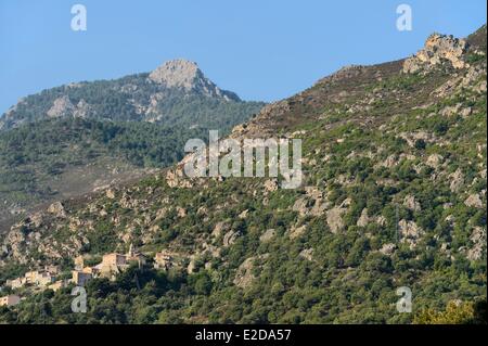 Francia, Haute Corse Niolu (Niolo) regione, appollaiato villaggio di Ponte Castirla Foto Stock