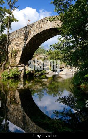 Francia, Haute Corse Niolu (Niolo) regione, ponte genovese di Murricciolu oltre il fiume Calasima Foto Stock