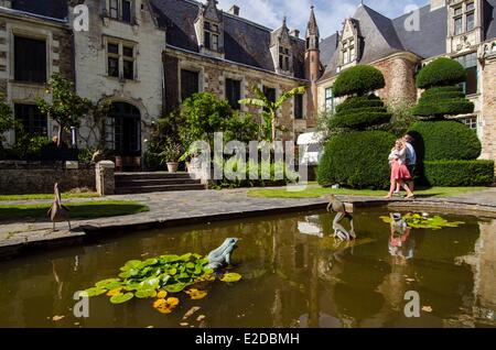 Francia Maine et Loire Champtoce sur Loire Chateau et Jardins du Pin (Castello e Giardini di pino) Foto Stock