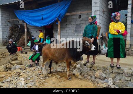 Il Vietnam ha Giang provincia Xa Phin mercato minoranza etnica gruppo di Hmongs nero Foto Stock