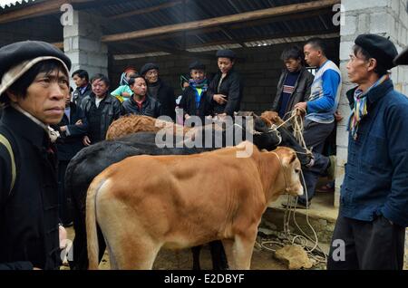 Il Vietnam ha Giang provincia Xa Phin mercato minoranza etnica gruppo di Hmongs nero Foto Stock