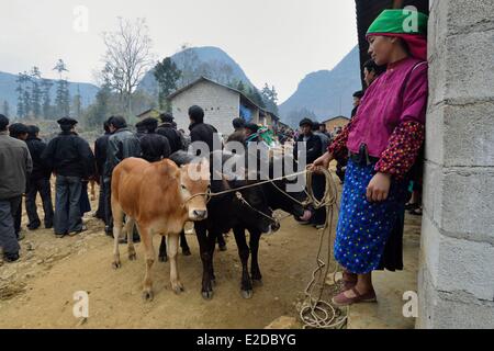 Il Vietnam ha Giang provincia Xa Phin mercato minoranza etnica gruppo di Hmongs nero Foto Stock