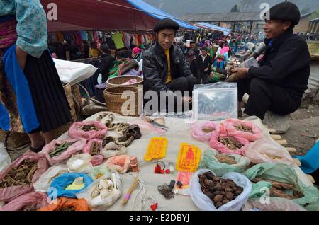 Il Vietnam ha Giang provincia Xa Phin mercato minoranza etnica gruppo di Hmongs nero Foto Stock