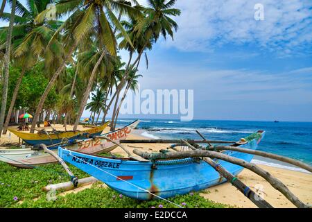 Sri Lanka, provincia occidentale, Kalutara District, Bentota, le barche dei pescatori a bordo della spiaggia sotto le palme di cocco Foto Stock