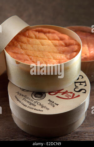 Francia Cote d'Or,epoisses AOC Foto Stock