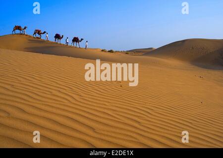 India Rajasthan Jaisalmer Rajput nomadi con le loro carovane di cammelli nel deserto di Thar Foto Stock