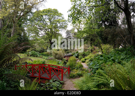 Un ponte ornamentali attraverso un ruscello IN ABBOTSBURY giardini subtropicali. DORSET UK. Foto Stock