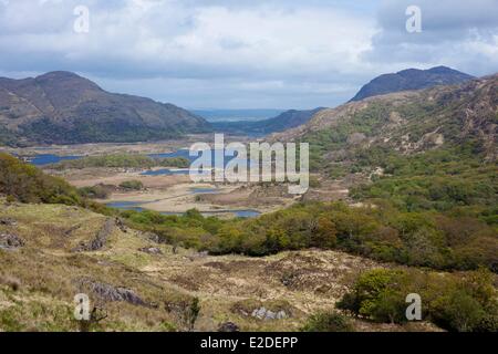 L'Irlanda Contea di Kerry Killarney National Park Ladies View lago superiore e valle Foto Stock