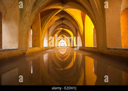 Spagna, Andalusia, Sevilla, Alcázar (Alcazar di Siviglia) elencati come patrimonio mondiale dall' UNESCO, bagni di Dona Maria de Padilla Foto Stock