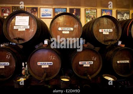 Spagna, Andalusia, Costa del Sol, Malaga, Bodega Antigua Casa de Guardia, fondata 1840 Foto Stock