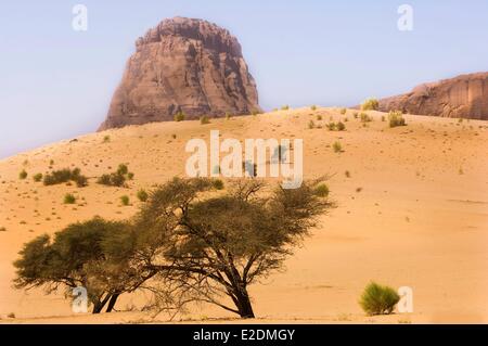 Il Ciad meridionale del deserto del Sahara massiccio Ennedi Birdjigol ben Foto Stock