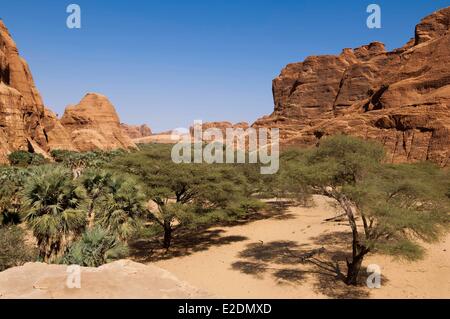 Il Ciad meridionale del deserto del Sahara massiccio Ennedi Bachikele oued Foto Stock