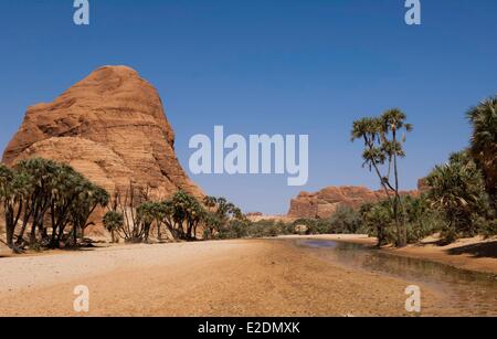 Il Ciad meridionale del deserto del Sahara massiccio Ennedi Bachikele oued Foto Stock