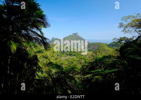 Brasile Rio de Janeiro Parque Nacional Tijuca vista sul Pedra da Gavea Foto Stock