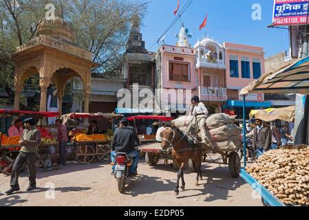 India Rajasthan, Shekhawati, Nawalgarh, mercato Foto Stock