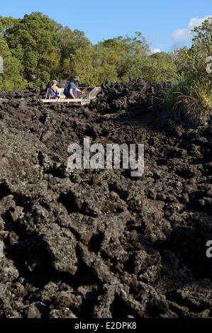 Nuova Zelanda Isola del nord Rangitoto Island è un'isola vulcanica nel Golfo di Hauraki vicino Auckland Foto Stock
