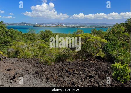 Nuova Zelanda Isola del nord Rangitoto Island è un'isola vulcanica nel Golfo di Hauraki vicino Auckland Foto Stock