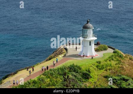 Nuova Zelanda Isola del nord della penisola Aupori in ??regione di Northland Cape Reinga è l'estremo nord del paese si trova Foto Stock