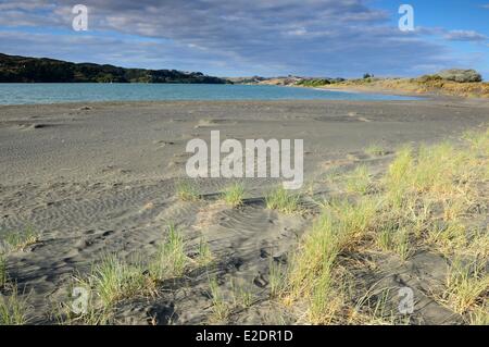 Nuova Zelanda Isola del nord regione di Waikato Raglan Te Kopua Beach Foto Stock