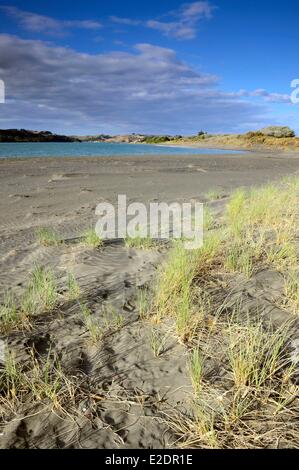 Nuova Zelanda Isola del nord regione di Waikato Raglan Te Kopua Beach Foto Stock