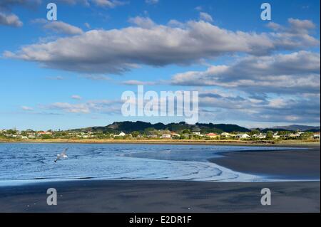 Nuova Zelanda Isola del nord regione di Waikato Raglan Te Kopua Beach Foto Stock