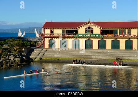 Nuova Zelanda North Island Wellington Frank Kitts Park nel quartiere fronte mare Foto Stock