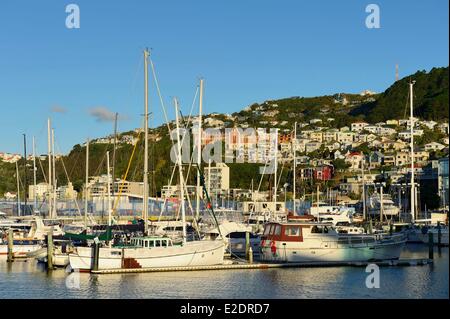 Nuova Zelanda North Island Wellington Lambton Harbour Oriental Bay Clyde Quay Marina Boat Harbour e di san Gerardo nel monastero Foto Stock