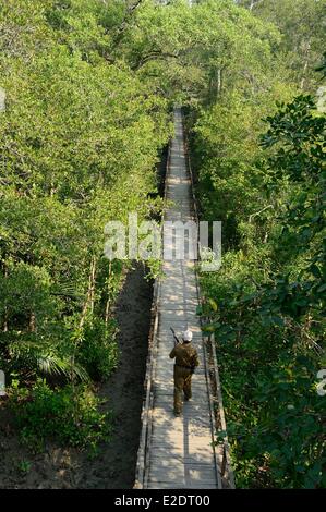 In Bangladesh la Sundarbans elencati come patrimonio mondiale dall' UNESCO è uno dei più grandi del mondo le foreste di mangrovia (140.000 ettari) Foto Stock