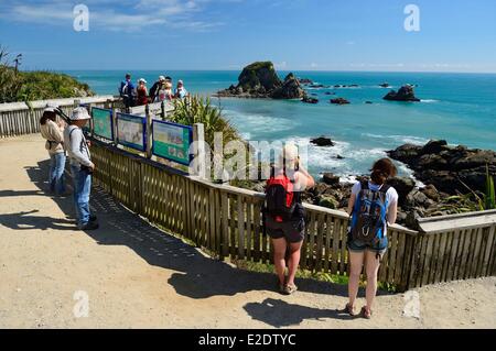 Nuova Zelanda Isola del Sud West Coast Cape Foulwind è un prominente promontorio sulla costa occidentale dell'Isola Sud della Nuova Zelanda Foto Stock