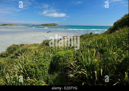 Nuova Zelanda Isola del Sud West Coast Cape Foulwind è un prominente promontorio sulla costa occidentale dell'Isola Sud della Nuova Zelanda Foto Stock