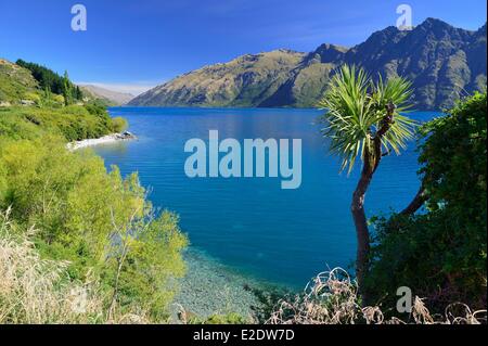Nuova Zelanda, Isola del Sud, regione di Otago, il lago Wakatipu è il più lungo della Nuova Zelanda con una lunghezza di 80 chilometri verso Foto Stock