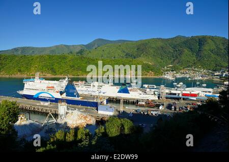 Nuova Zelanda, Isola del Sud, regione di Marlborough, la città di Picton nord est dell'isola, alla fine di Queen Charlotte Drive, nella riparata Queen Charlotte Sound (parte di Marlborough Sounds), inter-island ferry terminal Foto Stock