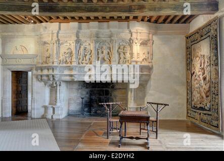 Francia dordogne périgord Vert (verde Perigord) castello di Puyguilhem la grande sala con il suo caminetto raffiguranti le fatiche di Foto Stock