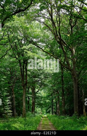 Francia yvelines (78) Rambouillet le Parc d'en Haut Foto Stock