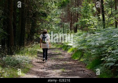 Francia yvelines (78) Rambouillet les Buttes Rouges Foto Stock