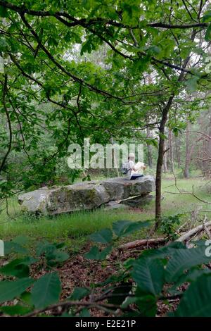 Francia yvelines (78) Rambouillet les Buttes Rouges il tavolo di pietra arenaria chiamato Pierre Ardoue Foto Stock