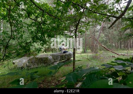 Francia yvelines (78) Rambouillet les Buttes Rouges il tavolo di pietra arenaria chiamato Pierre Ardoue Foto Stock