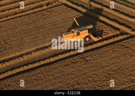 Francia Meurthe et Moselle Saintois Chaouilley New Holland mietitrebbia in un campo di grano (vista aerea) Foto Stock