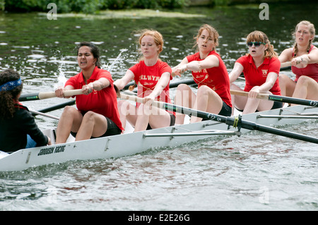 Cambridge può dossi, un Selwyn College Cari otto Foto Stock