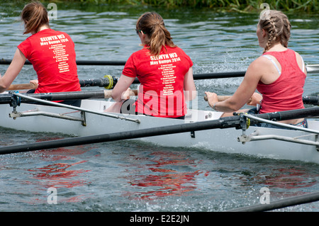 Cambridge può dossi, Selwyn College Cari otto Foto Stock