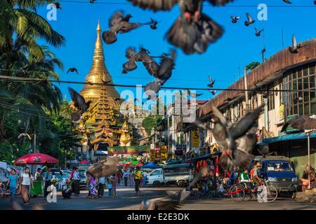 Myanmar (Birmania) divisione di Yangon Yangon distretto di Kandawgyi Avenue Gabaraye pagoda di Shwedagon pagoda l'Ingresso Est Foto Stock