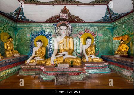 Myanmar (Birmania) divisione di Yangon Yangon distretto di Kandawgyi Shwedagon pagoda preghiera buddista Foto Stock