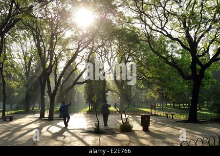 Cina, Pechino, Distretto di Chongwen, Tiantan park elencati come patrimonio mondiale dall' UNESCO, mattina Tai Chi Foto Stock